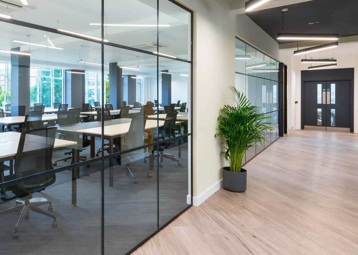 A bright modern office with desks, glass walls and a pot plant